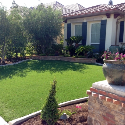 Artificial Grass Mays Chapel Maryland Landscape Front Yard