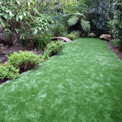 Artificial Grass Riva Maryland Landscape Front Yard