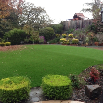 Artificial Grass Rossmoor Maryland Landscape