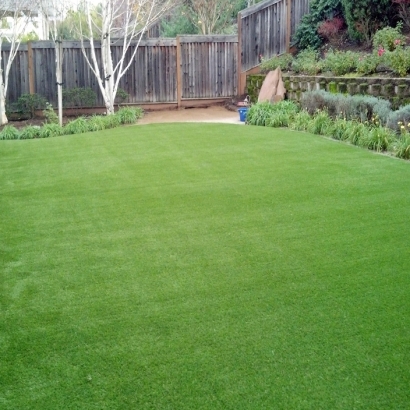 Artificial Grass South Laurel Maryland Landscape Front