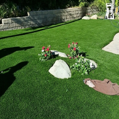 Artificial Turf Fairlee Maryland Landscape Front Yard