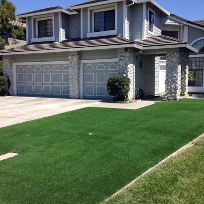 Artificial Turf Garrison Maryland Landscape Back Yard