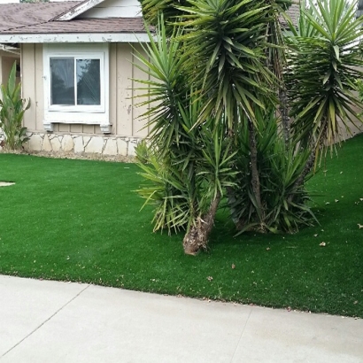 Artificial Turf Greenbelt Maryland Landscape Front Yard