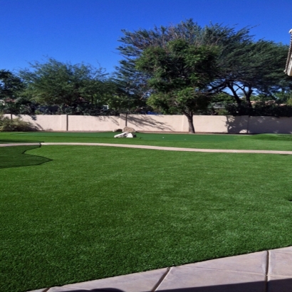 Artificial Turf Riviera Beach Maryland Landscape Recreational