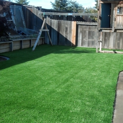 Artificial Turf Robinwood Maryland Lawn Front Yard