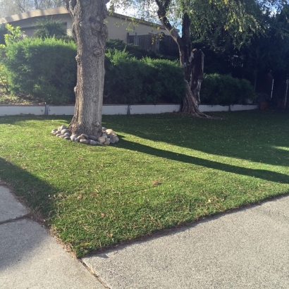 Artificial Turf Shady Side Maryland Lawn Back Yard