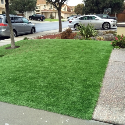 Fake Grass Cottage City Maryland Lawn