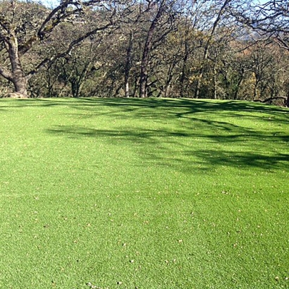 Fake Grass Grasonville Maryland Lawn Back Yard