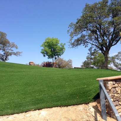 Fake Grass Perry Hall Maryland Lawn Front Yard