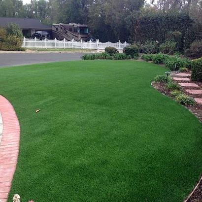 Fake Grass Reisterstown Maryland Landscape Commercial Landscape