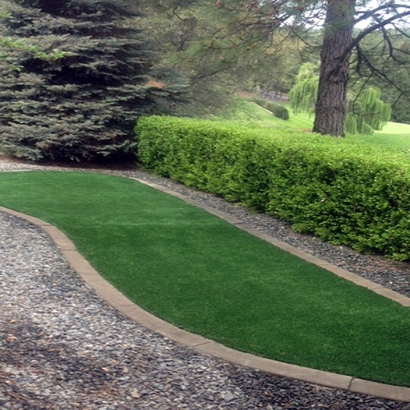 Fake Grass Riverdale Park Maryland Landscape Back Yard