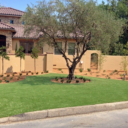 Fake Grass Severn Maryland Landscape Pavers Back Yard