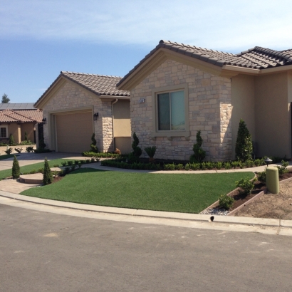 Fake Turf Mitchellville Maryland Lawn Back Yard