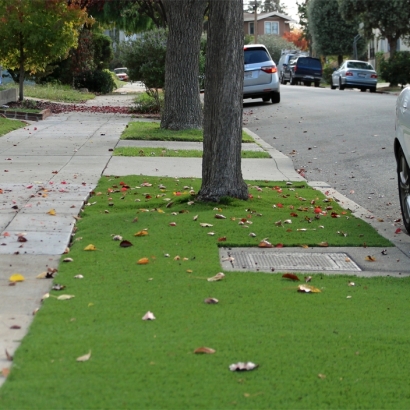 Fake Turf North Brentwood Maryland Landscape Back Yard