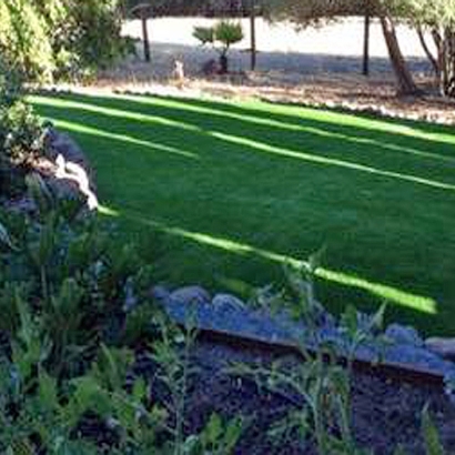 Fake Turf Parole Maryland Lawn Front Yard