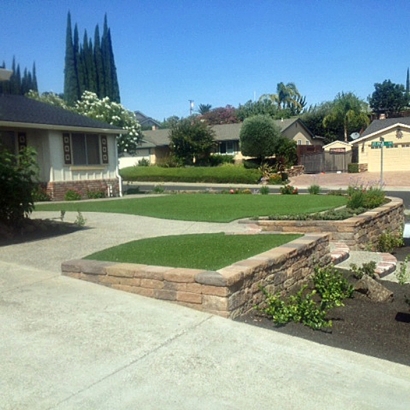 Fake Turf Worton Maryland Landscape Summer Pools Back