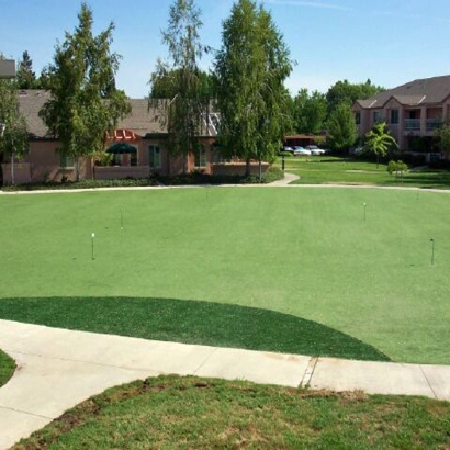 Putting Greens Edgewater Maryland Artificial Turf Back Yard