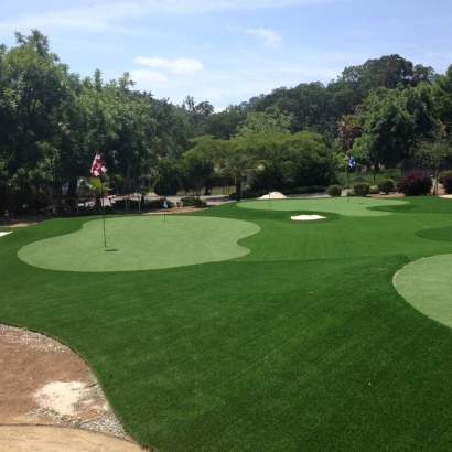 Putting Greens Jessup Maryland Artificial Turf Back Yard