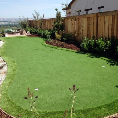 Putting Greens Riva Maryland Fake Grass Back Yard