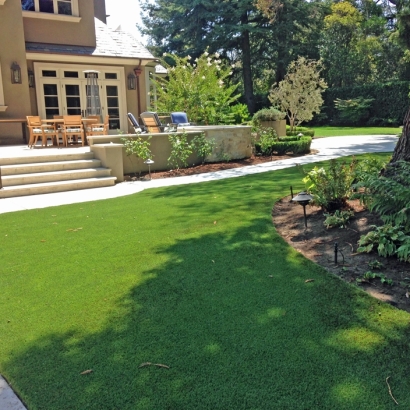 Synthetic Grass Cockeysville Maryland Landscape Parks