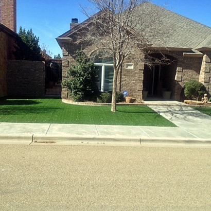 Synthetic Grass East Riverdale Maryland Lawn Front Yard