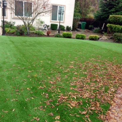 Synthetic Grass Four Corners Maryland Landscape Front Yard