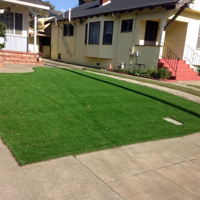 Synthetic Grass Largo Maryland Landscape Commercial Landscape