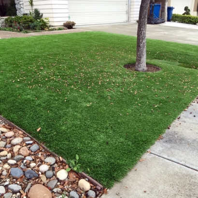 Synthetic Grass Pylesville Maryland Lawn Back Yard