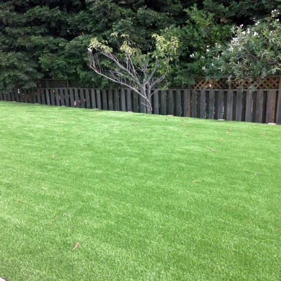 Synthetic Grass Selby-on-the-Bay Maryland Lawn Commercial