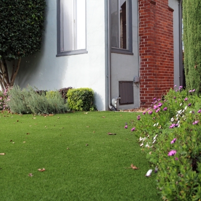 Synthetic Grass Silver Spring Maryland Landscape