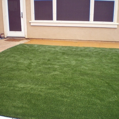 Synthetic Grass Takoma Park Maryland Landscape Front Yard