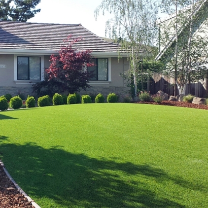 Synthetic Grass White Marsh Maryland Landscape Front Yard