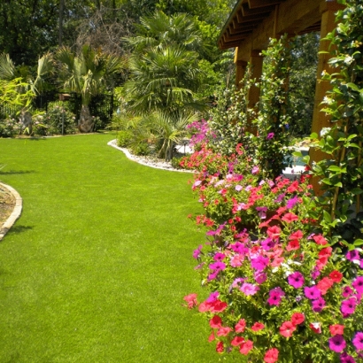 Synthetic Turf Beltsville Maryland Lawn