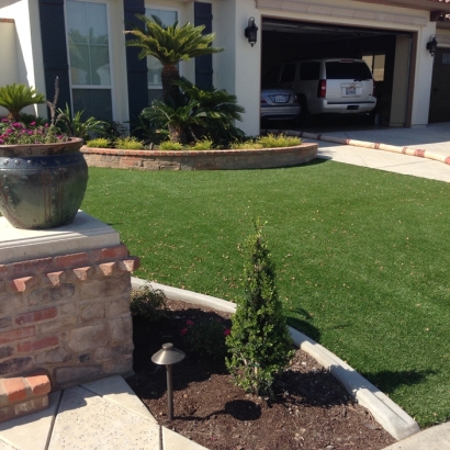 Synthetic Turf Berwyn Heights Maryland Landscape Back Yard