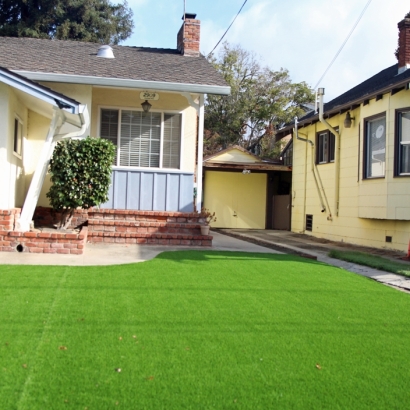 Synthetic Turf Cheverly Maryland Landscape Back Yard