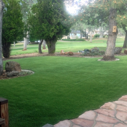 Synthetic Turf Fort Meade Maryland Lawn Front Yard