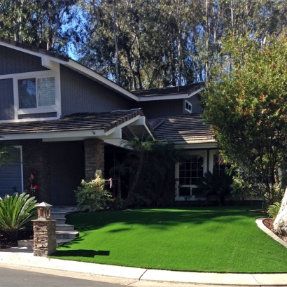 Synthetic Turf Kingstown Maryland Landscape Back Yard