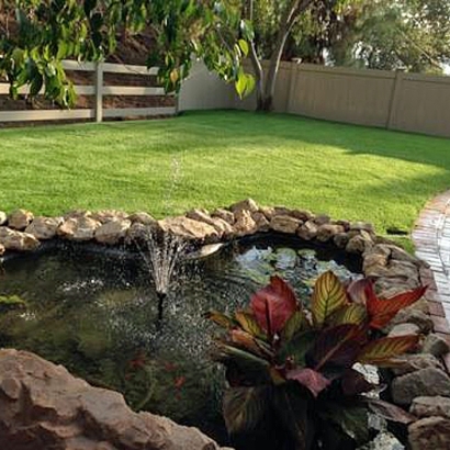 Synthetic Turf Queenstown Maryland Lawn Swimming Pools Back