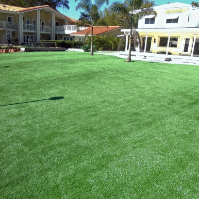 Synthetic Turf Reisterstown Maryland Landscape Swimming