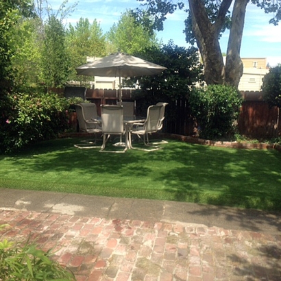 Synthetic Turf Riverdale Park Maryland Lawn Recreational