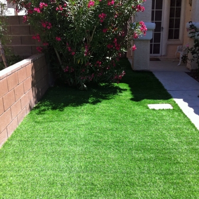 Synthetic Turf West Laurel Maryland Landscape Front Yard