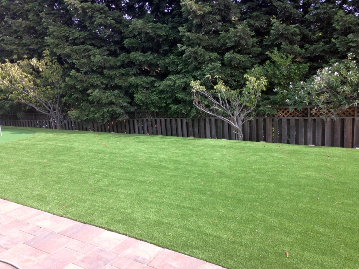 Artificial Grass Berwyn Heights Maryland Landscape Pavers