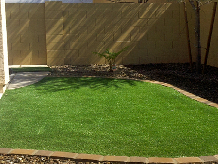 Artificial Grass Betterton Maryland Landscape Front Yard