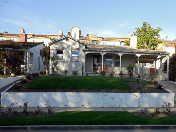 Artificial Grass Burtonsville Maryland Landscape Summer