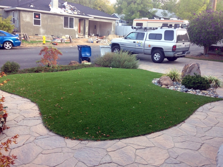 Artificial Grass Chester Maryland Landscape Back Yard