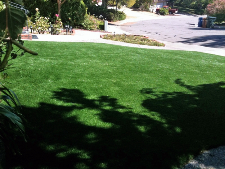 Artificial Grass College Park Maryland Landscape Recreational