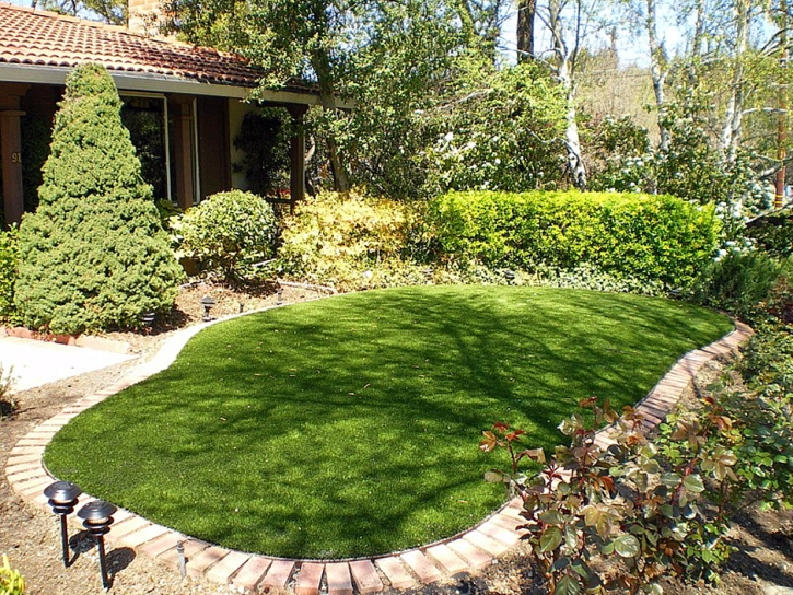 Artificial Grass Colmar Manor Maryland Landscape Back Yard