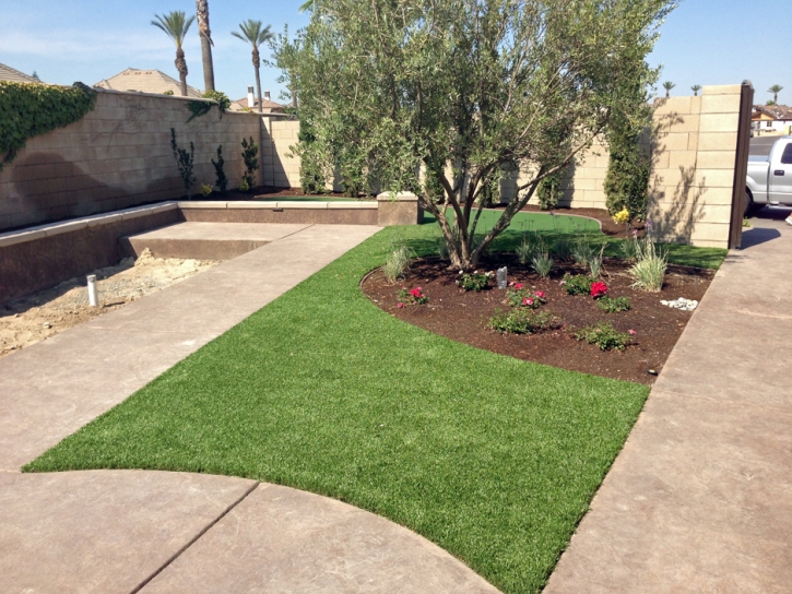 Artificial Grass Edgemere Maryland Landscape Back Yard