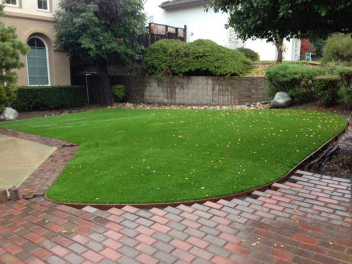 Artificial Grass Edmonston Maryland Landscape Back Yard