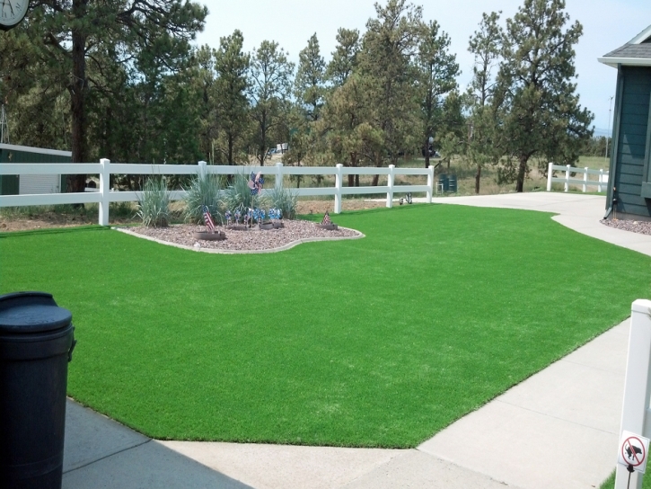 Artificial Grass Essex Maryland Lawn Front Yard